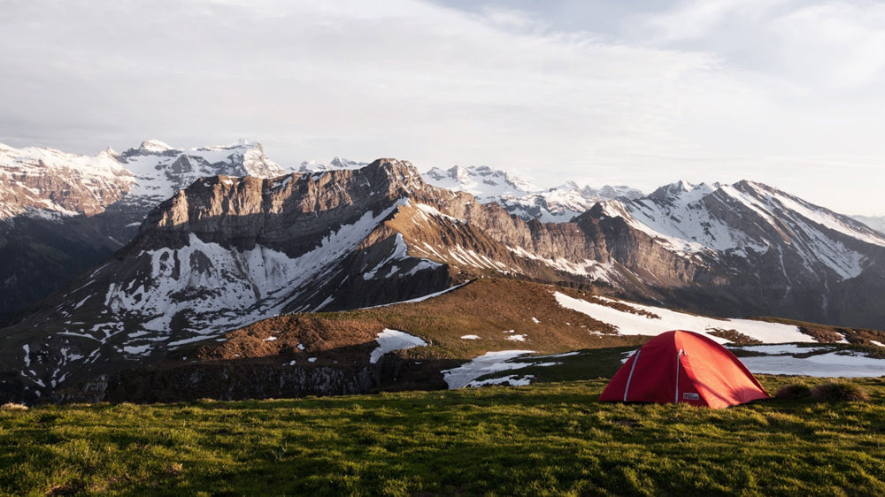 12 Best Camping Food Packs Every Camper Must Bring To Their Camping Adventures!