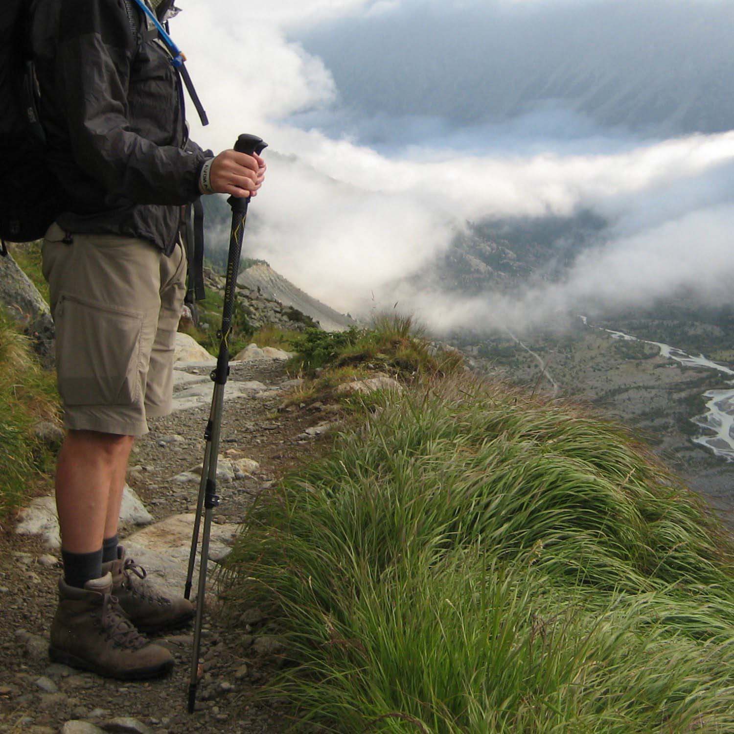 Terra Nova Trail Lite Trekking Pole