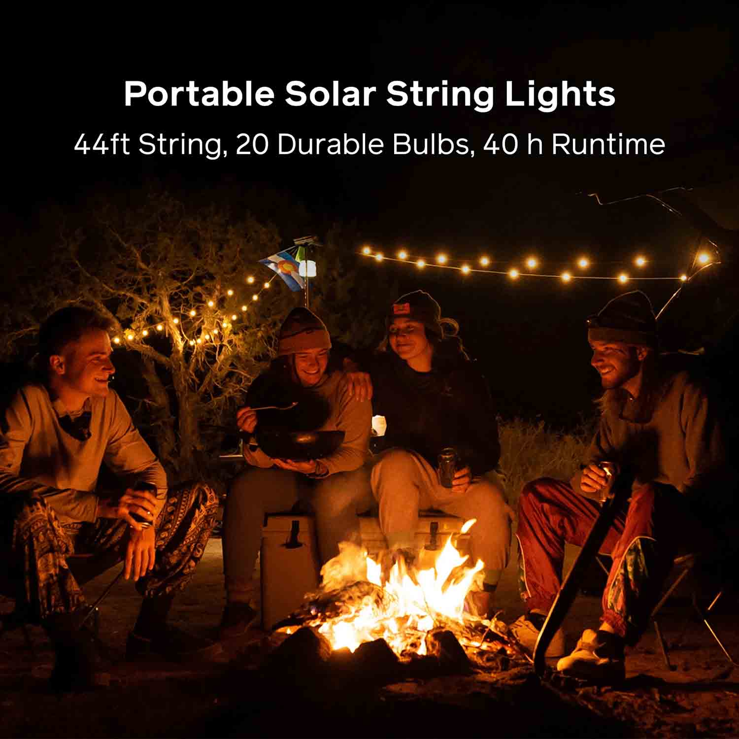 BioLite Solar String Lights: 44' in White