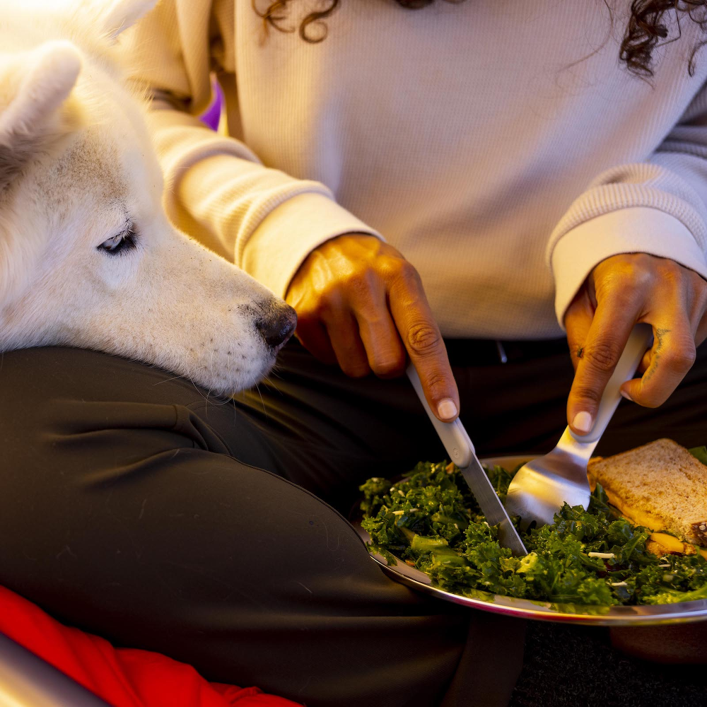 Hydro Flask Camp Plate